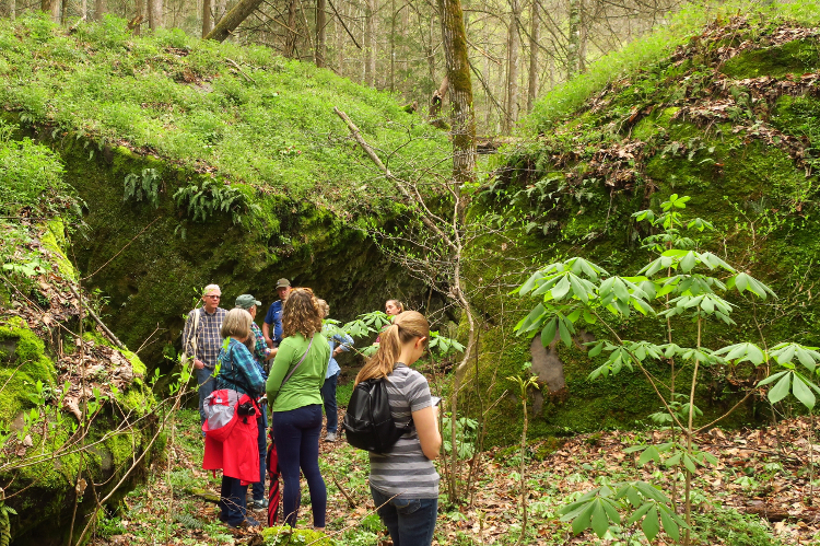 KNPS: 2019 In Review - Kentucky Native Plant Society