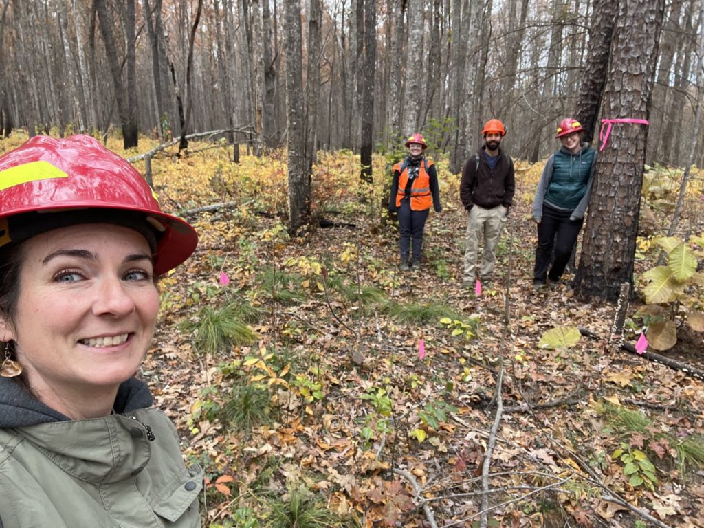 Wood Lily (Lilium phildelphicum) Conservation in the Cumberland Plateau ...