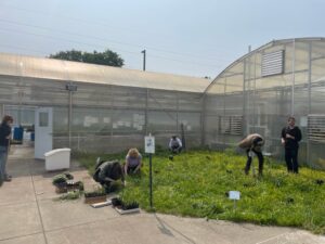 Volunteers planting the pollinator garden.