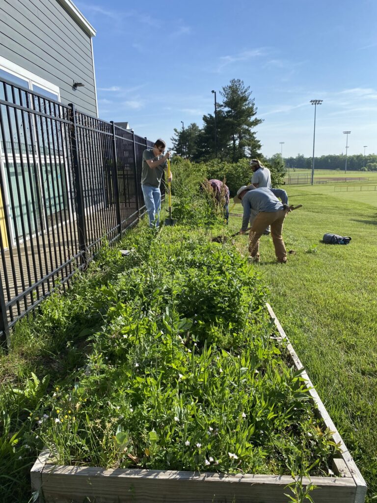 KNPS pollinator garden grant program in pilot stage Kentucky Native