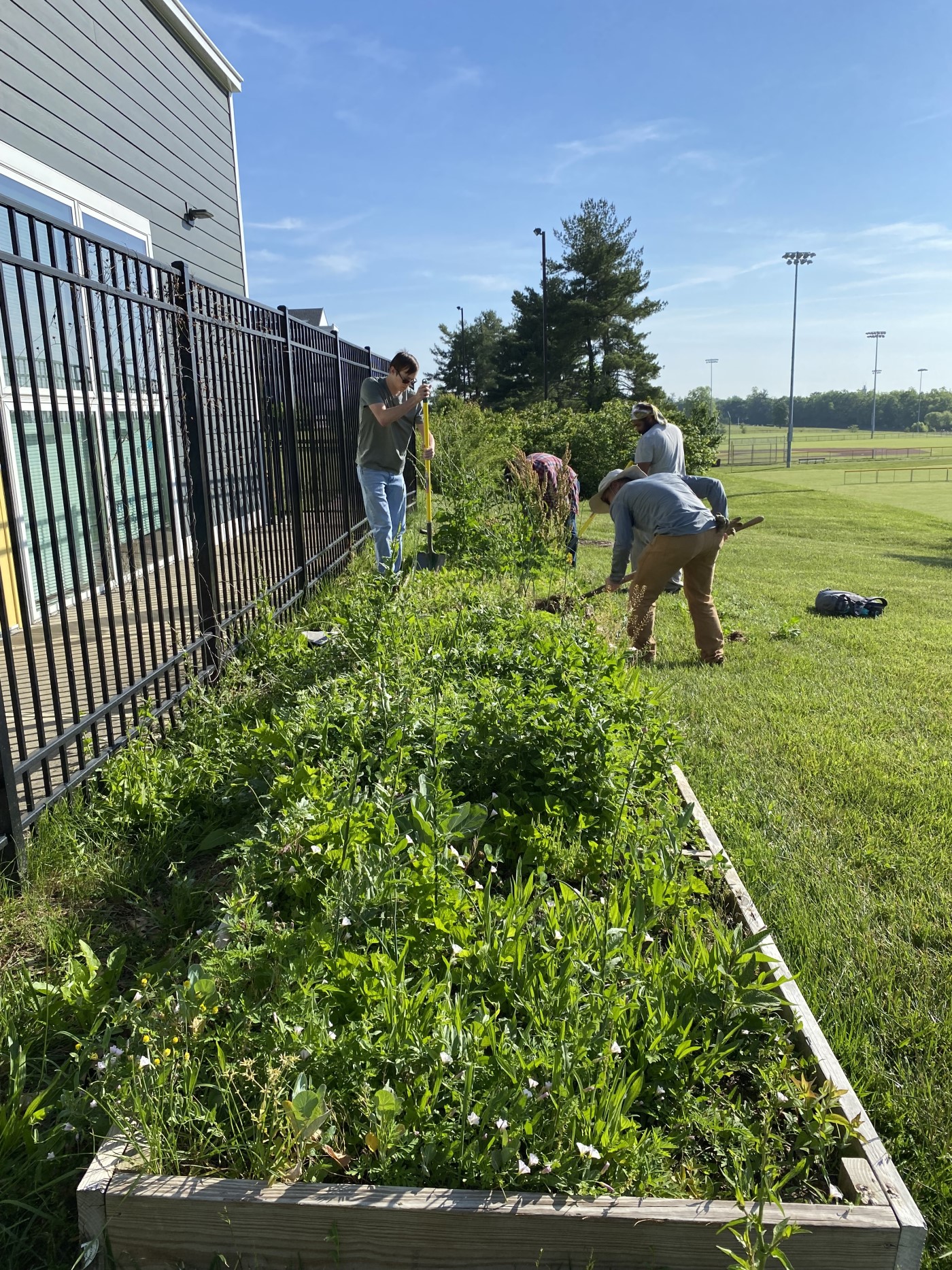 KNPS Pollinator Garden Grant Program In Pilot Stage - Kentucky Native ...