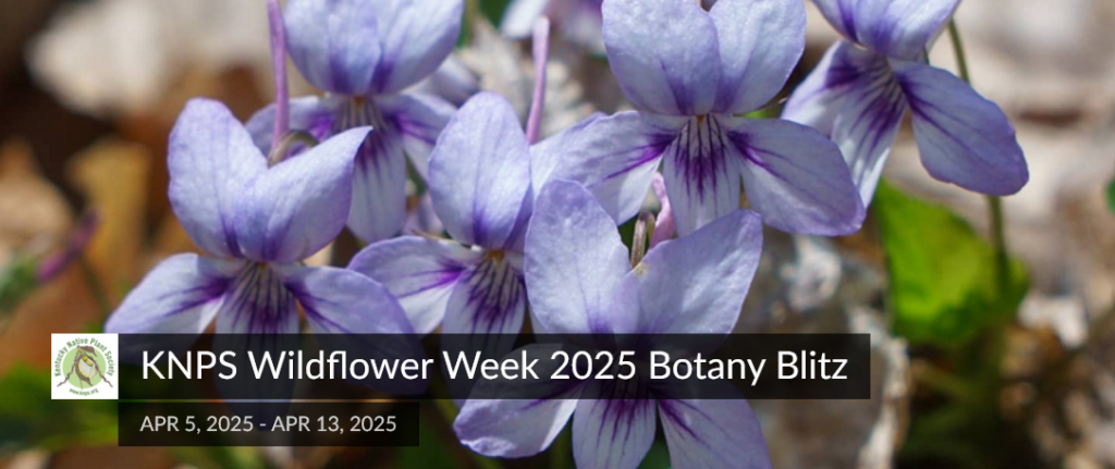 Botany Blitz 2025 & Kick Off Hikes - Call for Hike Leaders