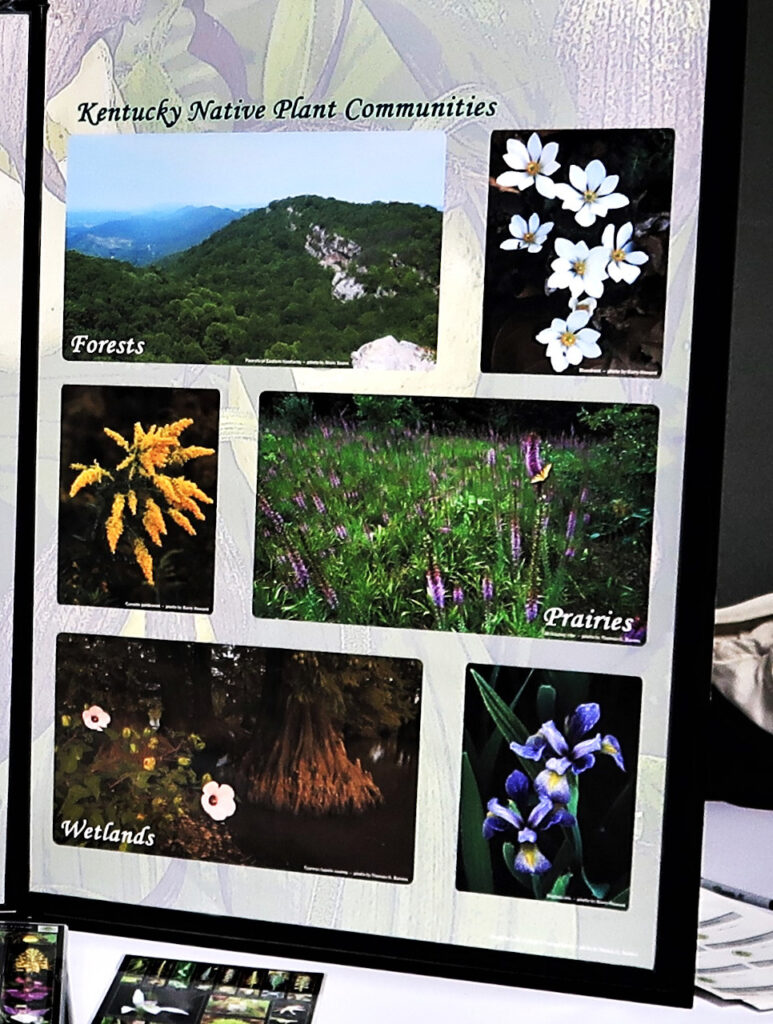 Calling all Kentucky research students! KNPS will have a Student Poster Session at Wildflower Weekend 2025!